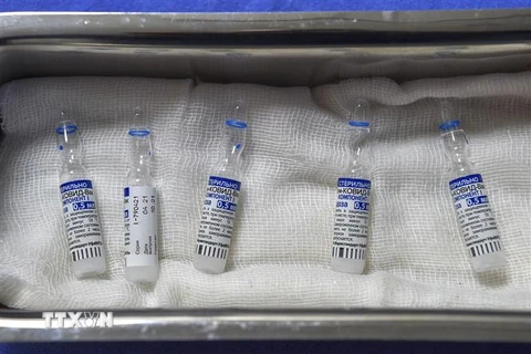 Vaccine phòng COVID-19 Sputnik V của Nga. (Ảnh: AFP/TTXVN)