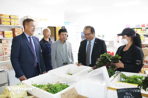 Đại sứ Thái Xuân Dũng (thứ 2, phải sang) thăm các cơ sở kinh doanh của người Việt tại Trung tâm thương mại ASIA DRAGON. (Ảnh: Hồng Kỳ/Vietnam+)