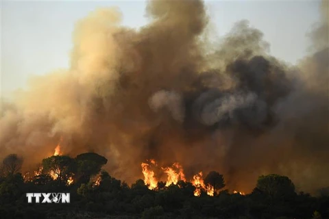 Khói lửa bốc lên tại đám cháy rừng ở vùng Var, miền Nam nước Pháp. (Ảnh: AFP/TTXVN)