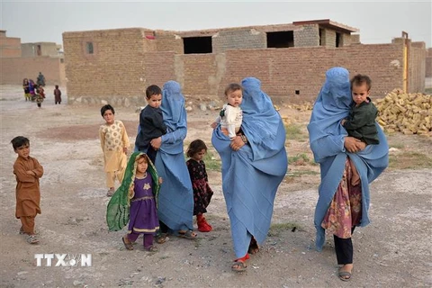 Người dân Afghanistan sơ tán tránh xung đột tại Herat. (Ảnh: AFP/TTXVN)
