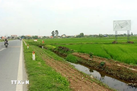 Thái Bình: Thông tin việc thu hồi đất thực hiện dự án tại Hưng Hà