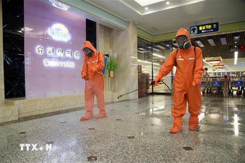 Nhân viên y tế phun khử khuẩn phòng chống dịch COVID-19 tại một cửa hàng ở Bình Nhưỡng, Triều Tiên. (Ảnh: AFP/TTXVN)