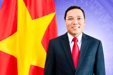 Đại sứ Việt Nam tại Liên hiệp Vương quốc Anh Nguyễn Hoàng Long. (Nguồn: baoquocte.vn)