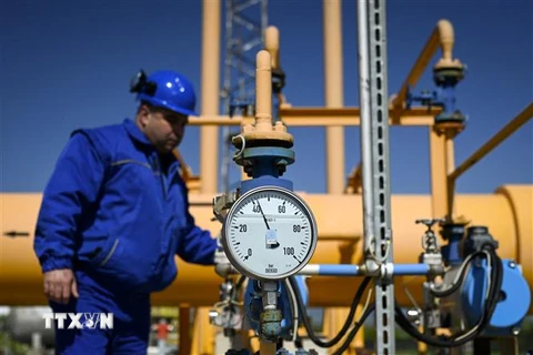 Trạm bơm khí đốt của công ty Bulgartransgaz ở Ihtiman, Bulgaria. (Ảnh: AFP/TTXVN)