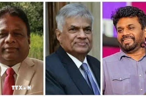 (Từ trái sang): Chân dung các ứng cử viên Tổng thống Sri Lanka Dullas Alahapperuma, Ranil Wickremesinghe và Anura Kumara Dissanayake. (Ảnh: Times of India/TTXVN)