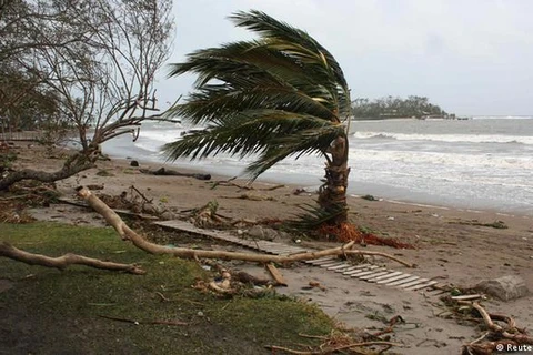 Bão nhiệt đới tàn phá đảo quốc Vanuatu. (Nguồn: Reuters)