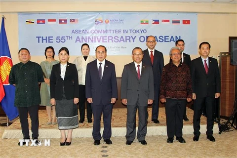 Các đại sứ/đại biện lâm thời của 10 nước thành viên ASEAN chụp ảnh lưu niệm. (Ảnh: Đào Thanh Tùng/TTXVN)