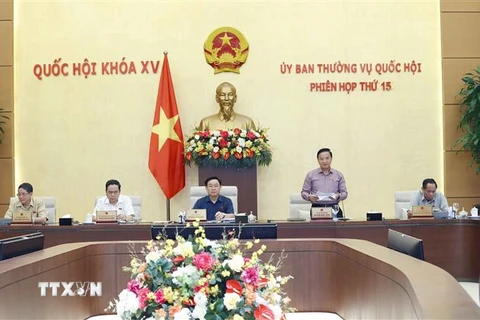 Phó Chủ tịch Quốc hội Nguyễn Khắc Định phát biểu. (Ảnh: Doãn Tấn/TTXVN)