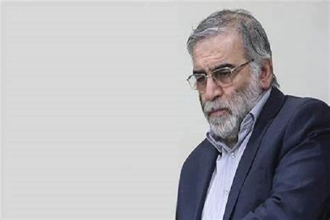 Nhà vật lý hạt nhân cấp cao của Iran Mohsen Fakhrizadeh. (Nguồn: tehrantimes.com)