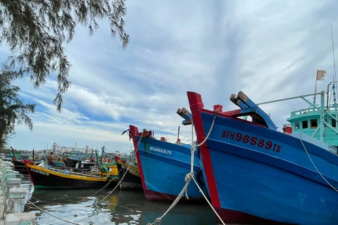 Tàu thuyền neo đậu tại thành phố Phan Thiết. (Nguồn: baobinhthuan.com.vn)