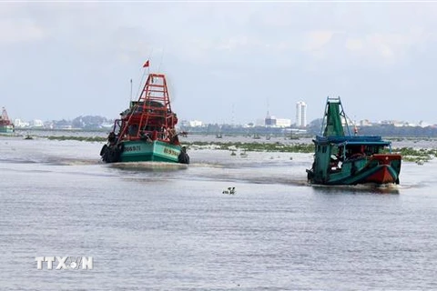 Tàu cá ngư dân Kiên Giang trên vùng biển Rạch Giá (Kiên Giang). (Ảnh: Lê Huy Hải/TTXVN)