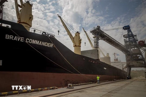 Chất ngũ cốc lên tàu đưa đi xuất khẩu tại cảng ở thành phố Yuzhne, Ukraine. (Ảnh: AFP/TTXVN)