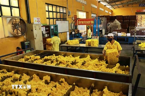Chế biến cao su xuất khẩu tại nhà máy của Công ty Cao su Phú Riềng. (Ảnh: Vũ Sinh/TTXVN)