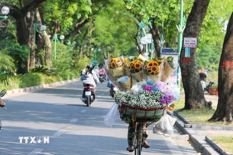 Xe hoa rong trên đường Thanh Niên. (Ảnh: Khánh Hoà/TTXVN)