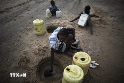 Người dân cố gắng múc nước từ đáy sông khô cạn ở Turkana, Kenya. (Ảnh: AFP/TTXVN)