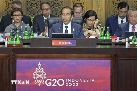 Tổng thống Indonesia Joko Widodo (giữa) phát biểu khai mạc Hội nghị thượng đỉnh Nhóm các nền kinh tế phát triển và mới nổi hàng đầu thế giới (G20) ở Bali. (Ảnh: Kyodo/TTXVN)