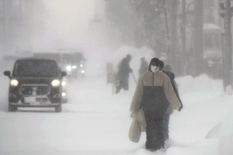 Tuyết rơi dày gây cản trở giao thông tại Shibetsu, Hokkaido. (Nguồn: The Yomiuri Shimbun)