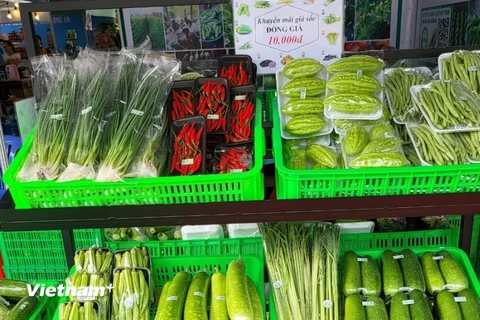 Sản phẩm rau an toàn của Hợp tác xã nông nghiệp Mỹ Thạnh (huyện Thủ Thừa). (Ảnh: Đức Hạnh/Vietnam+)