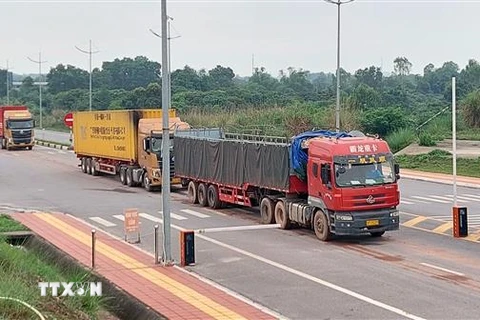 Xe vận chuyển hàng hóa qua Cửa khẩu quốc tế Móng Cái. (Ảnh: Văn Đức/TTXVN)