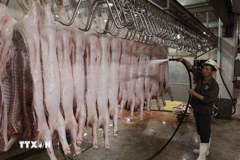 Làm sạch sản phẩm thịt lợn lần cuối để đưa vào chế biến. (Ảnh: Vũ Sinh/TTXVN)