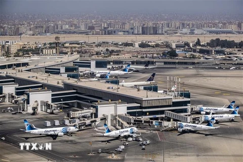 Máy bay của Hãng hàng không quốc gia Ai Cập (EgyptAir) tại sân bay quốc tế ở Cairo. (Ảnh: AFP/TTXVN)