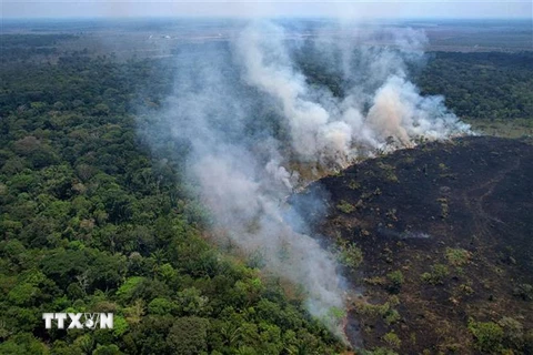 Khói bốc lên từ đám cháy rừng Amazon ở bang Amazonas, Brazil. (Ảnh: AFP/TTXVN)