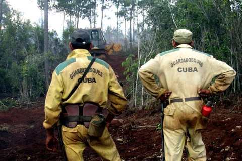 Lực lượng cứu hỏa và kiểm lâm Cuba đang chiến đấu với đám cháy rừng. (Nguồn: Prensa Latina)