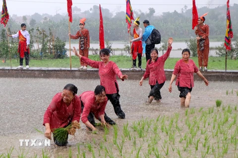 Nông dân phấn khởi khi được Vua Hùng dạy cấy lúa. (Ảnh: Trung Kiên/TTXVN)