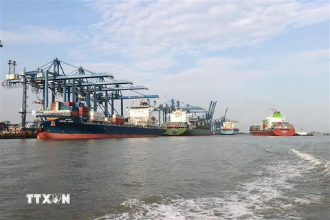 Tàu ra vào bốc xếp hàng hóa tại Cảng Tân cảng Cát Lái. (Ảnh: Dương Giang/TTXVN)