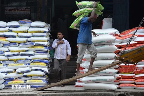 Công nhân vận chuyển gạo tại nhà kho ở Bangalore, Ấn Độ. (Ảnh: AFP/TTXVN)