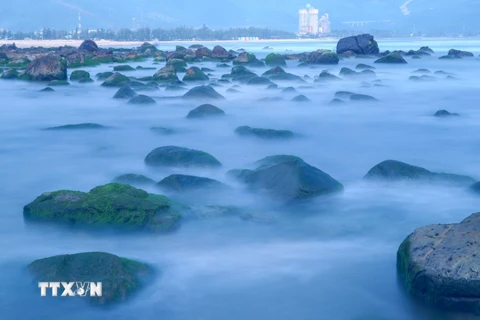 Mỗi khi thủy triều dâng, bãi đá rêu ngập trong nước như được ẩn hiện trong một lớp sương mờ. (Ảnh: Trần Lê Lâm/TTXVN)