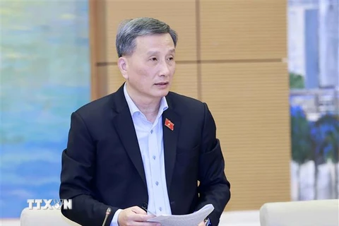 Chủ nhiệm Ủy ban Khoa học, Công nghệ và Môi trường Lê Quang Huy trình bày báo cáo. (Ảnh: Doãn Tấn/TTXVN)