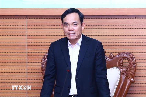 Phó Thủ tướng Trần Lưu Quang. (Ảnh: Lâm Khánh/TTXVN)