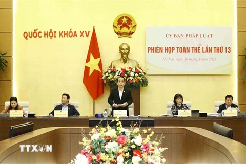 Chủ nhiệm Ủy ban pháp luật của Quốc hội Hoàng Thanh Tùng phát biểu. (Ảnh: An Đăng/TTXVN)