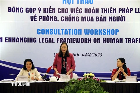 Bà Lê Thị Nga, Ủy viên Trung ương Đảng, Chủ nhiệm Ủy ban Tư pháp của Quốc hội, phát biểu tại Hội thảo. (Ảnh: Đức Hiếu/TTXVN)
