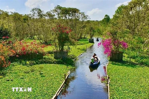 Khách du lịch đi xuồng tham quan Rừng tràm Trà Sư (huyện Tịnh Biên, An Giang). (Ảnh: Thanh Sang/TTXVN)