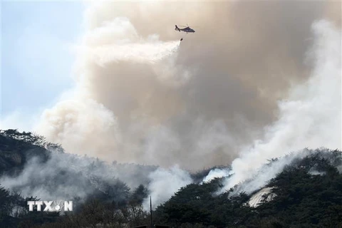 Trực thăng được huy động dập lửa cháy rừng tại núi Inwang, Hàn Quốc, ngày 2/4. (Ảnh: THX/TTXVN)