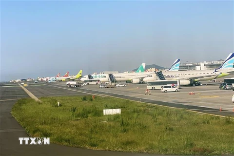 Máy bay của các hãng hàng không Hàn Quốc tại Sân bay Quốc tế Jeju. (Ảnh: Anh Nguyên/TTXVN)