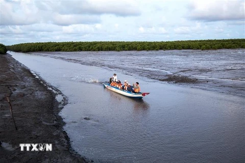 Du khách tham quan bãi bồi Cà Mau, Khu du lịch Đất Mũi, huyện Ngọc Hiển. (Ảnh: Hồng Đạt/TTXVN)