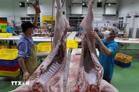 Sơ chế thịt lợn để cung cấp ra thị trường. (Ảnh: Vũ Sinh/TTXVN)