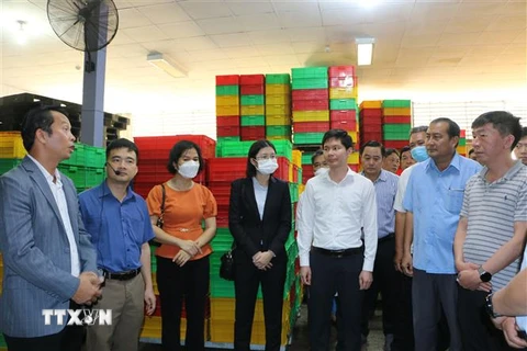 Đoàn công tác khảo sát tại Công ty TTHH Hoàng Phát Fruit, huyện Châu Thành, tỉnh Long An. (Ảnh: Thanh Bình/TTXVN)
