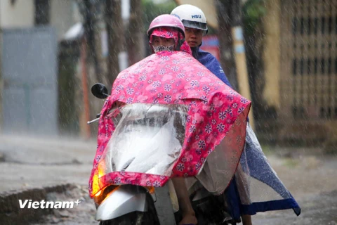 Từ 10-15 giờ ngày 8/5, khu vực nội thành Hà Nội và các vùng lân cận vẫn tiếp tục có mưa. (Ảnh: Lê Minh Sơn/Vietnam+)