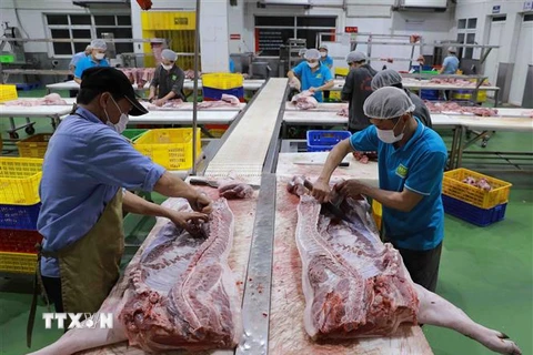 Sơ chế thịt lợn để cung cấp ra thị trường tại nhà máy của Công ty thực phẩm Vinh Anh. (Ảnh: Vũ Sinh/TTXVN)