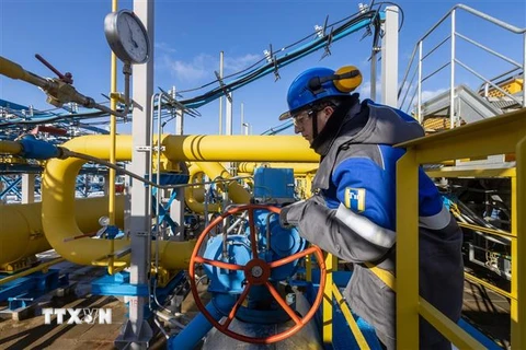 Công nhân vận hành đường ống dẫn dầu của Nga. (Ảnh: Bloomberg/TTXVN)