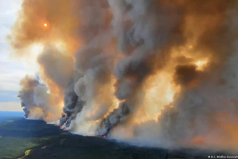 Cháy rừng lan đến tỉnh cực Tây British Columbia. (Nguồn: Reuters)