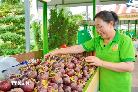 Một tiểu thương với sản phẩm trái cây được bày bán tại Lễ hội Trái cây Nam bộ. (Ảnh: Hồng Giang/TTXVN)