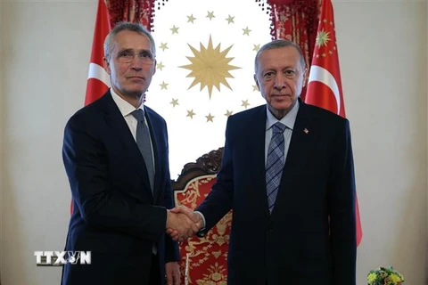 Tổng Thư ký NATO Jens Stoltenberg (trái) và Tổng thống Thổ Nhĩ Kỳ Recep Tayyip Erdogan tại cuộc gặp ở Istanbul ngày 4/6. (Ảnh: AFP/TTXVN)