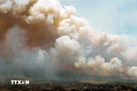 Khói bốc lên từ các đám cháy rừng ở Nova Scotia, Canada. (Ảnh: THX/TTXVN)