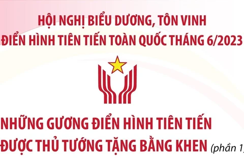 Thủ tướng tặng Bằng khen cho những gương điển hình tiên tiến