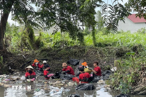 Nhóm công nhân tình nguyện Bình Dương Xanh chuyên dọn rác thải tại các kênh rạch tại Bình Dương. (Ảnh: Huyền Trang/TTXVN)